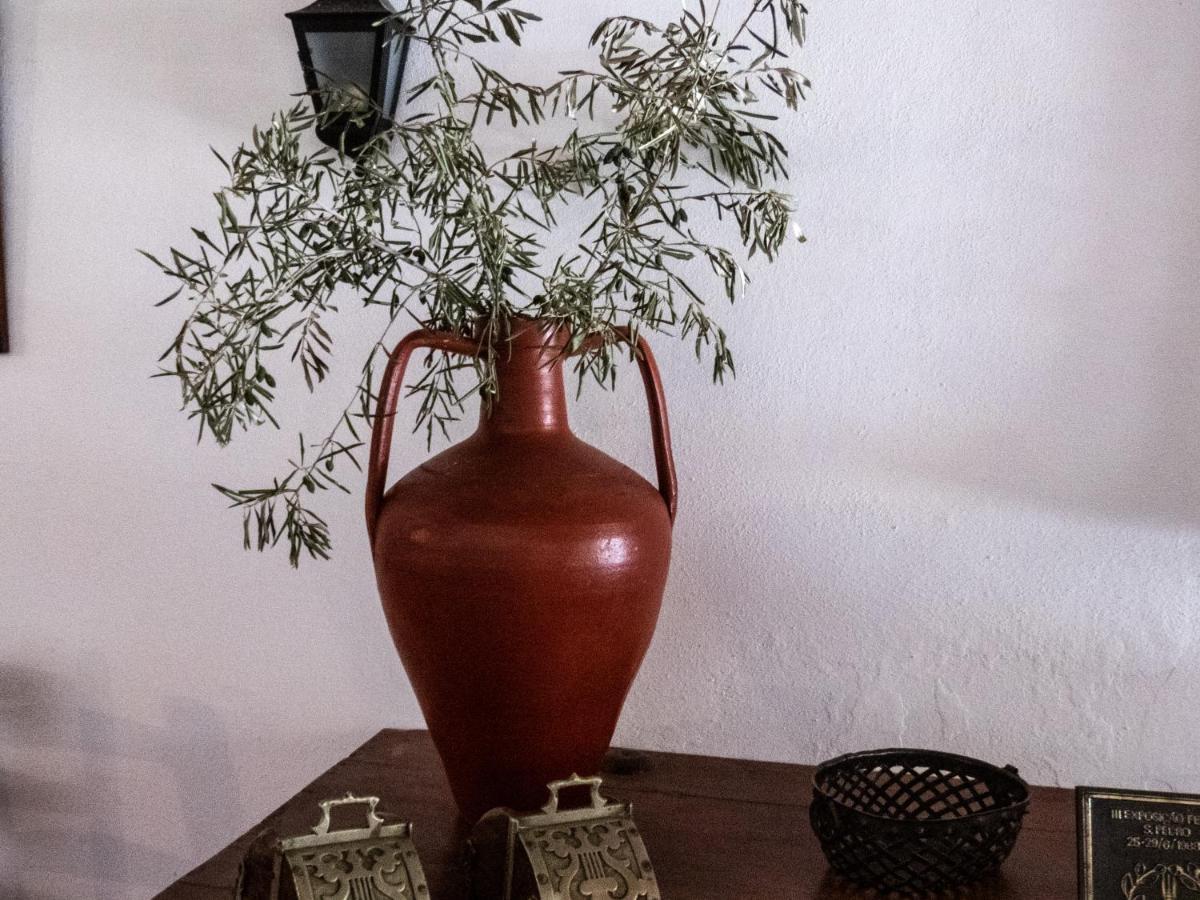 Monte Das Oliveiras Arraiolos Extérieur photo